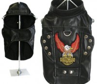 Campera roquera